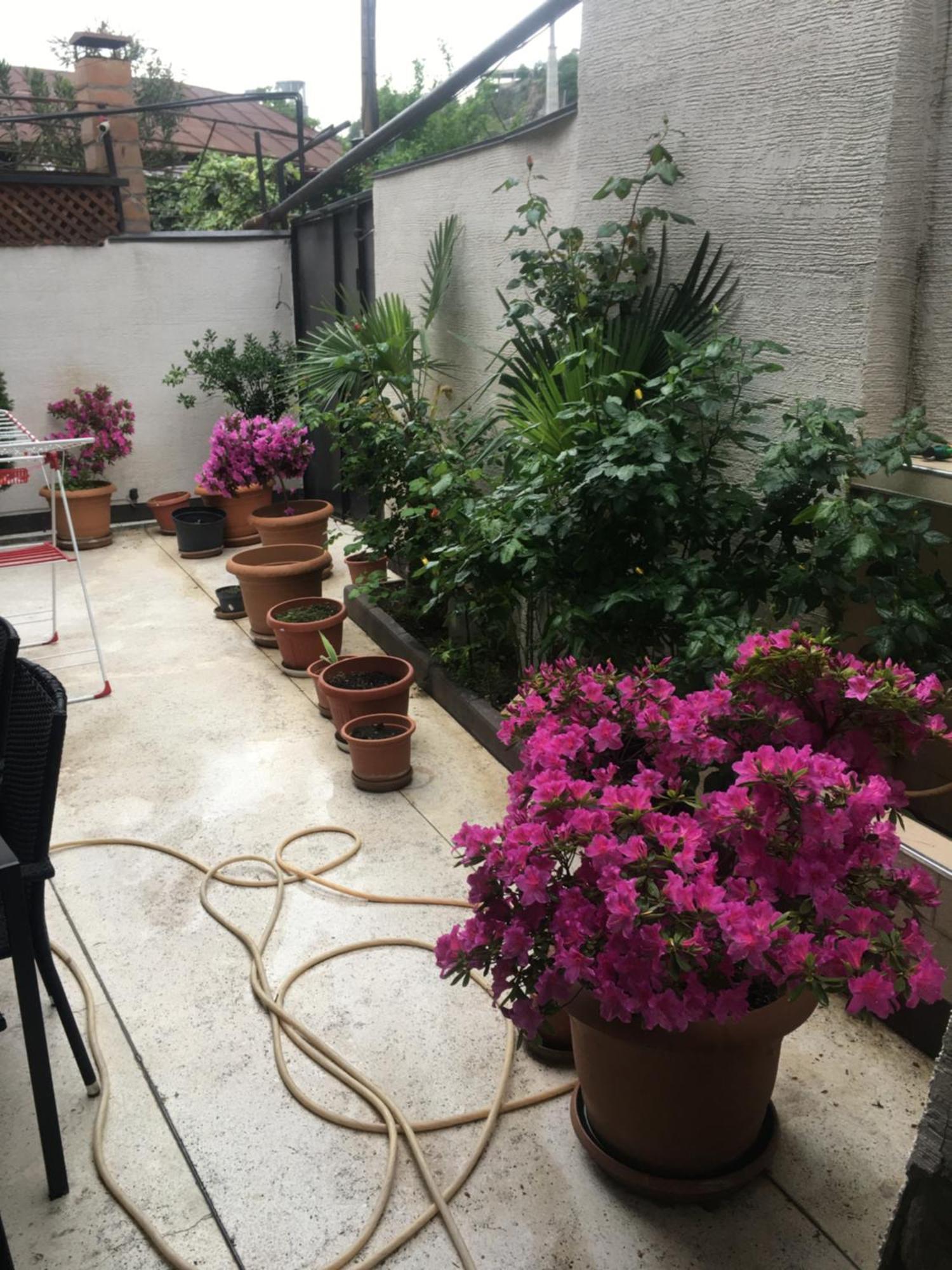 Appartamento 10 Shindisi Street,Tbilisi Esterno foto